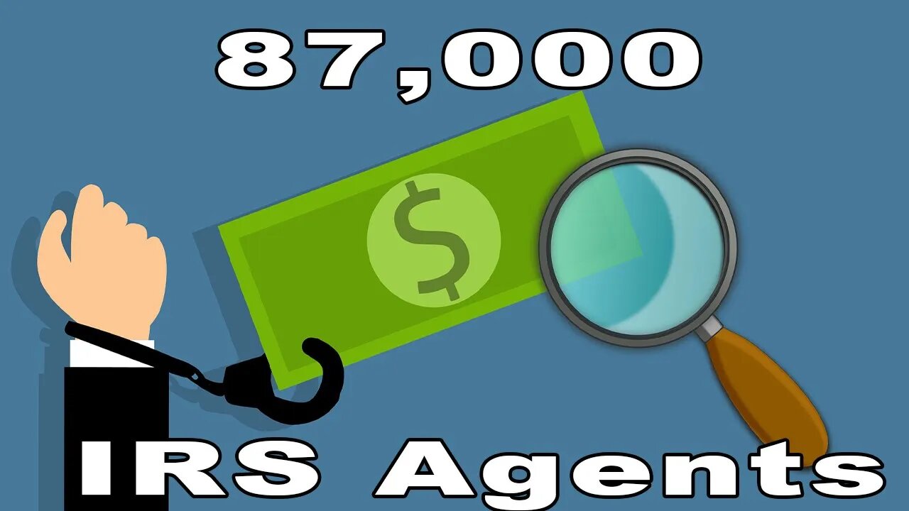 87,000 New IRS Agents?? What Does it Mean for Me and My Small Business?? Accounting CEO Explains!