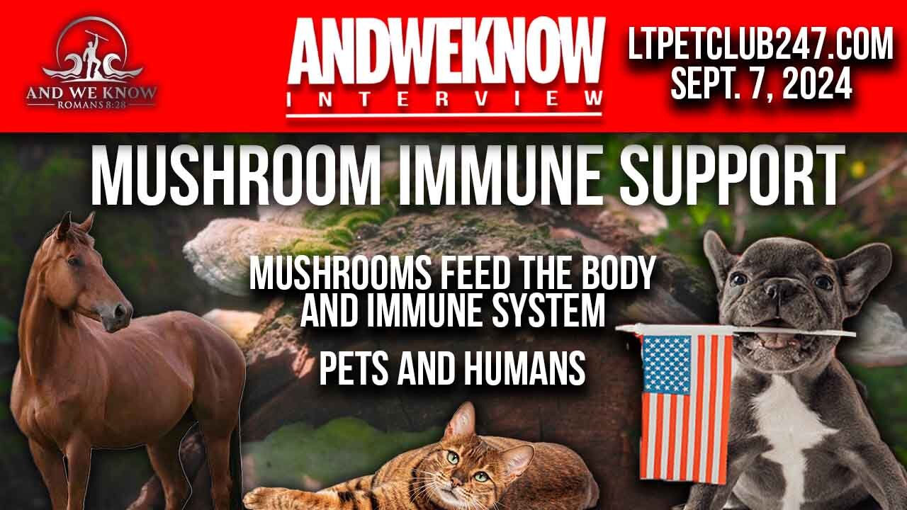 9.7.24: LT w/ Pet Club: The IMMUNE Support from MUSHROOMS changes lives + Trump update. PRAY