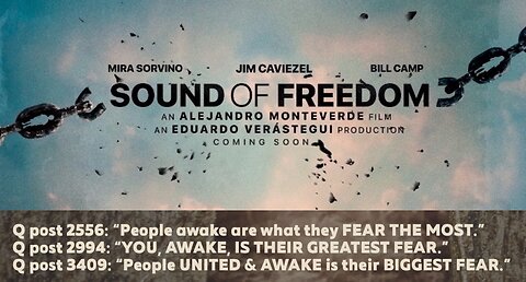 GO SEE THE SOUND OF FREEDOM, Hollywood don’t care about you…