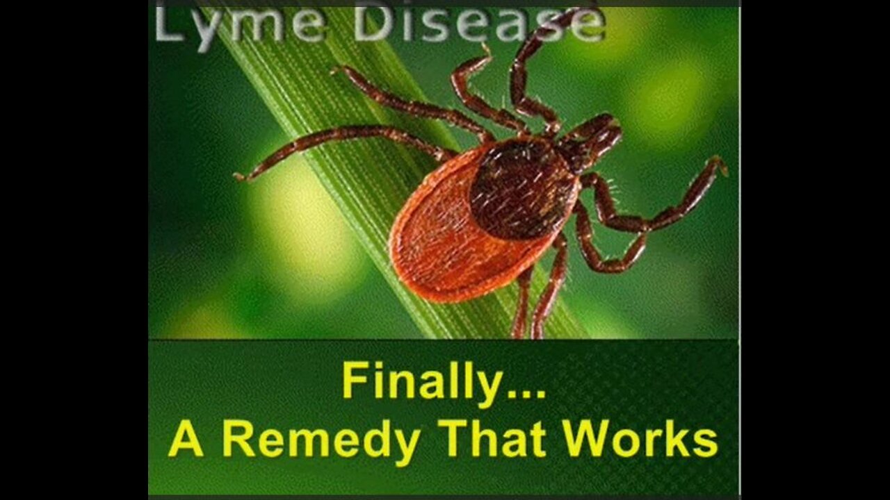 Lyme Infection Protocol – 100% Natural Remedy Frees 1000s Since 2003