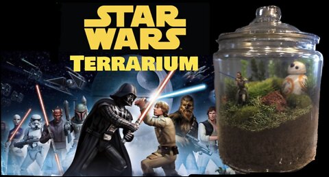 STAR WARS TERRARIUM