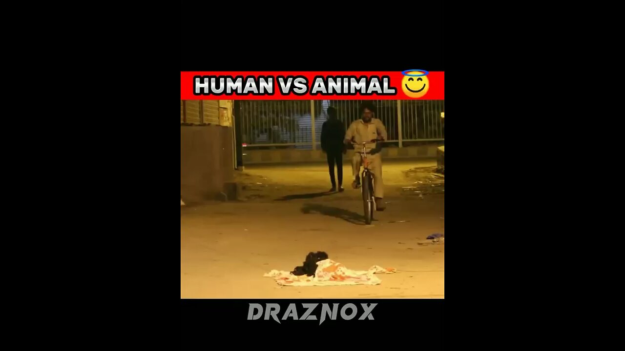 Pov human vs animal 👊