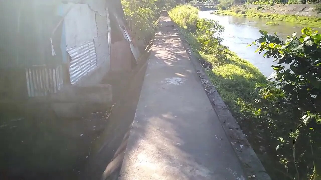 Clean and Green Program.