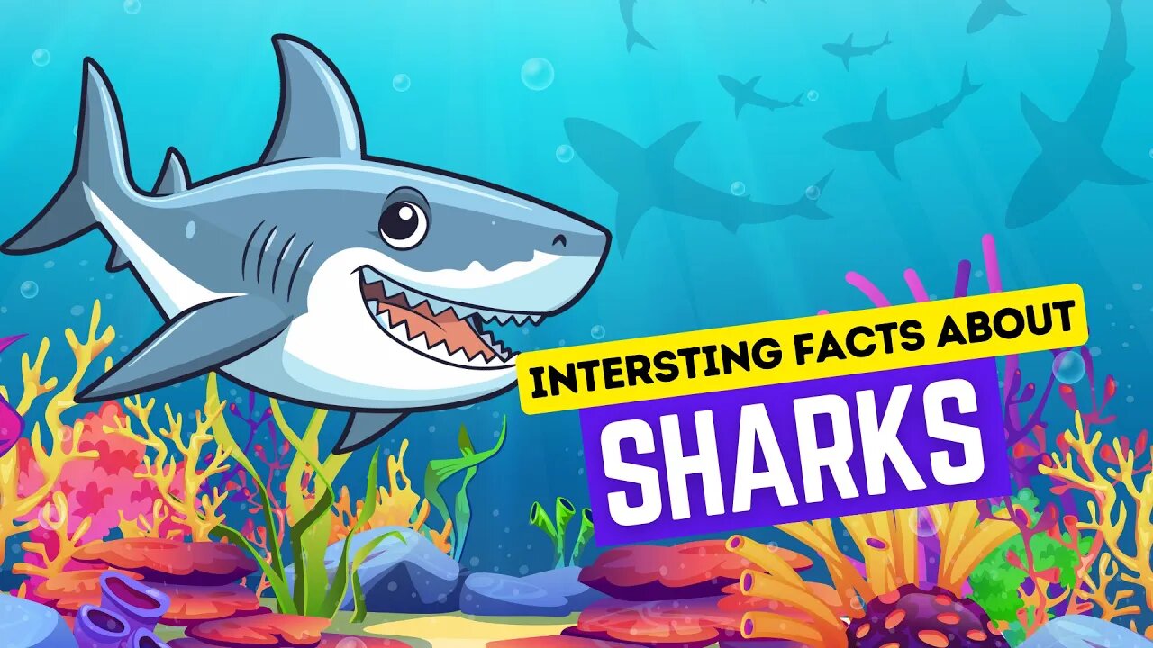 Interesting Facts About Sharks | Sharks Facts for Kids | Sharks for Kids