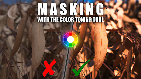 Masking within the Color Toning Tool | Rawtherapee 5.10