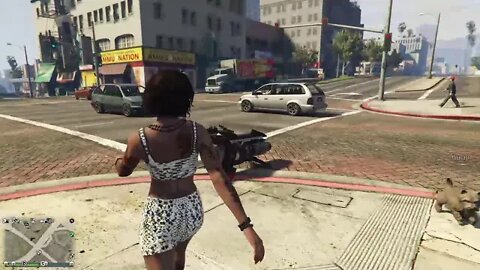 Grand Theft Auto V: Good Boy