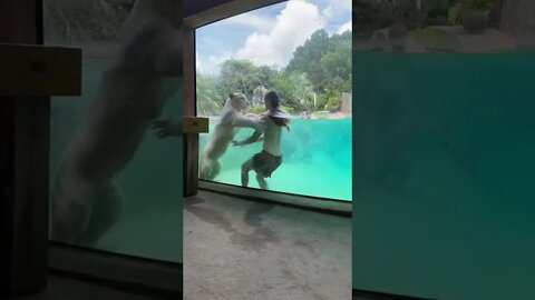 Not your average day in the pool 👀 #shorts