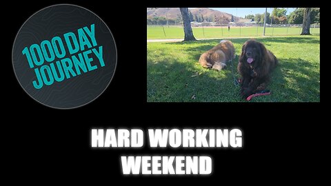 1000 Day Journey 0438 Hard Working Weekend