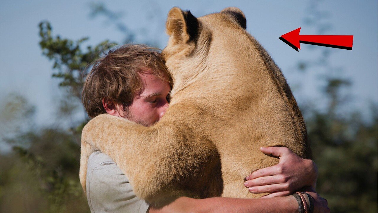 Man rescue tiny lioness abandoned by own mother! Now they're inseparable