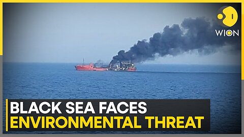 Black Sea: Impact Of Catastrophic Oil Spill On Marine Life | World News | WION