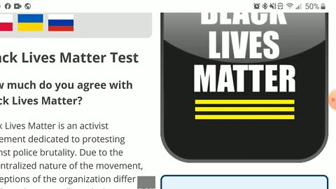 How Much Do I Agree with BLM?