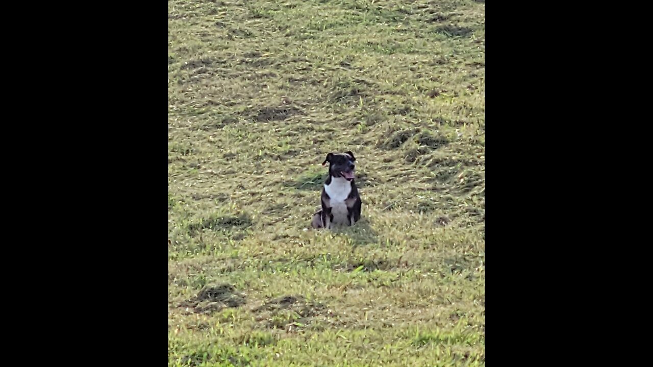 Just out taking care of the first pasture ranting