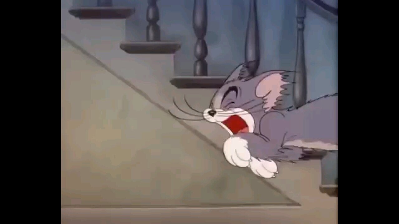 tom__and__jerry_full_screen🦉🤣🤣