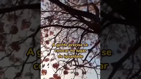 Ser feliz é uma escolha