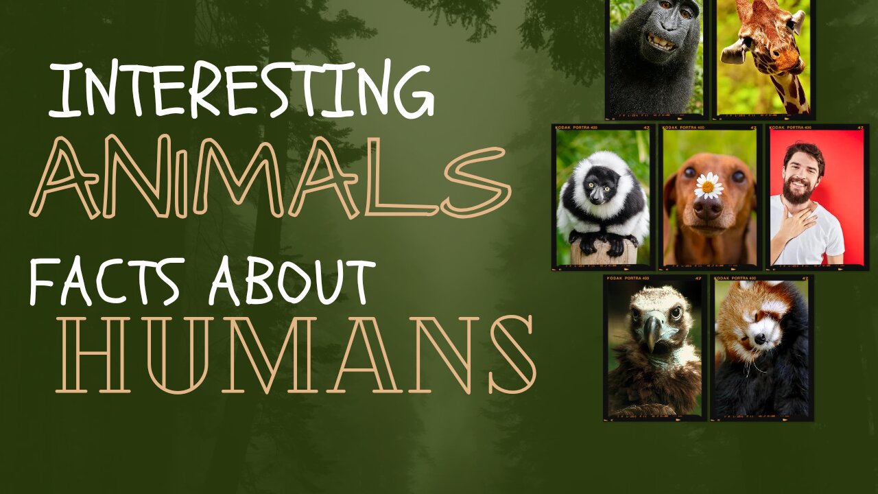 Animals Facts About Humans 😉 Do you know