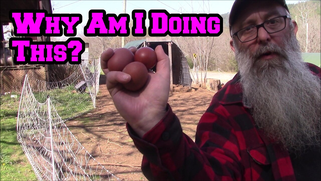 The Meaning Of Life | Sick Dude Contemplates Existence While Driving, Homestead Tiny House Arkansas