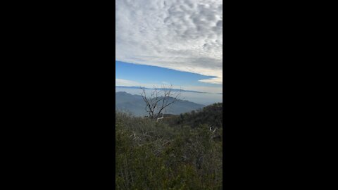 Fog Between the Hill Tops