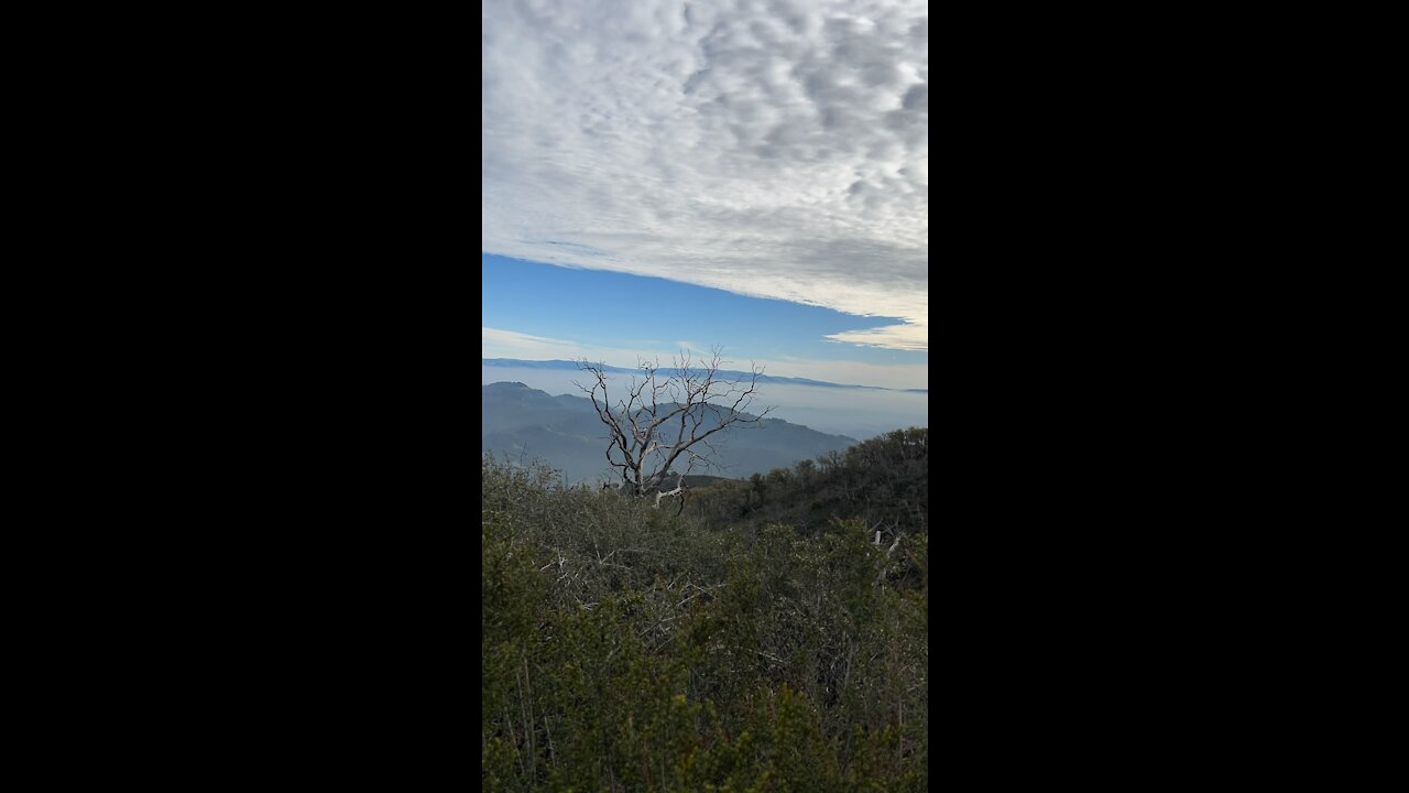 Fog Between the Hill Tops