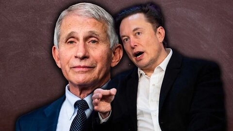 GOP Senator invokes Elon Musk in demanding answers from "health experts" on employees' work ethic