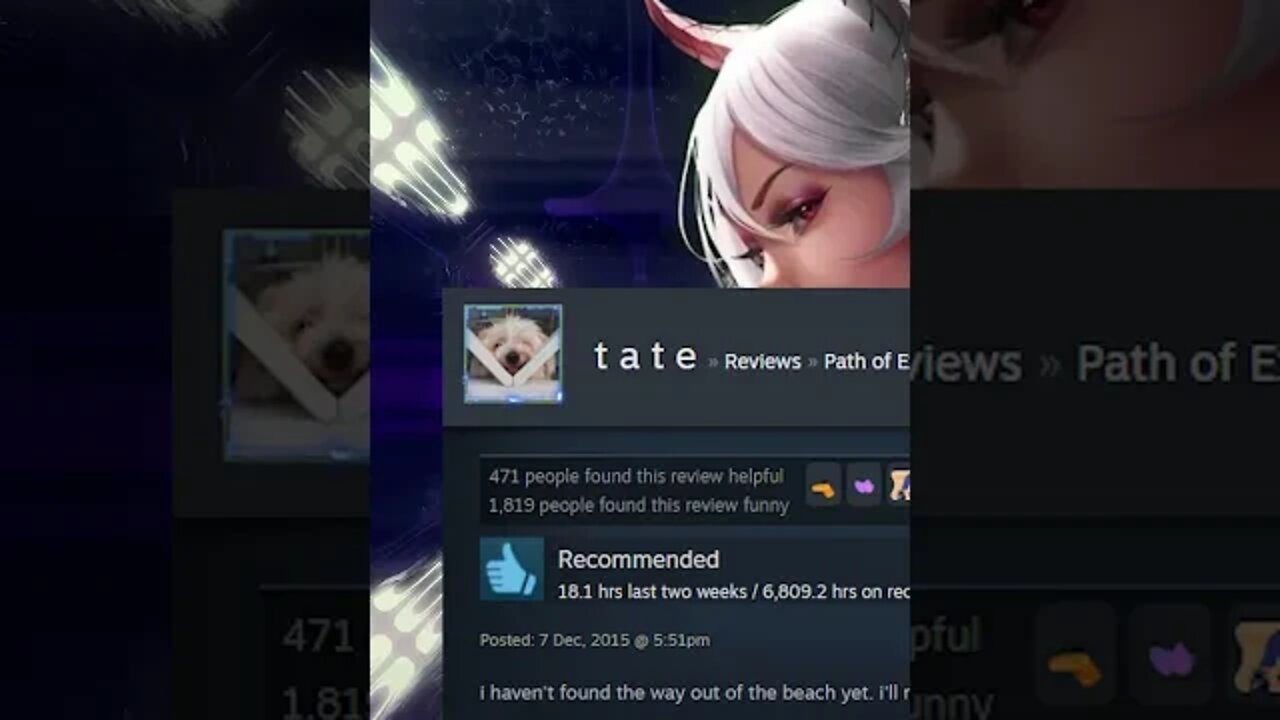 Path of Exile Steam Review - Andrew Tate is at the beach meme
