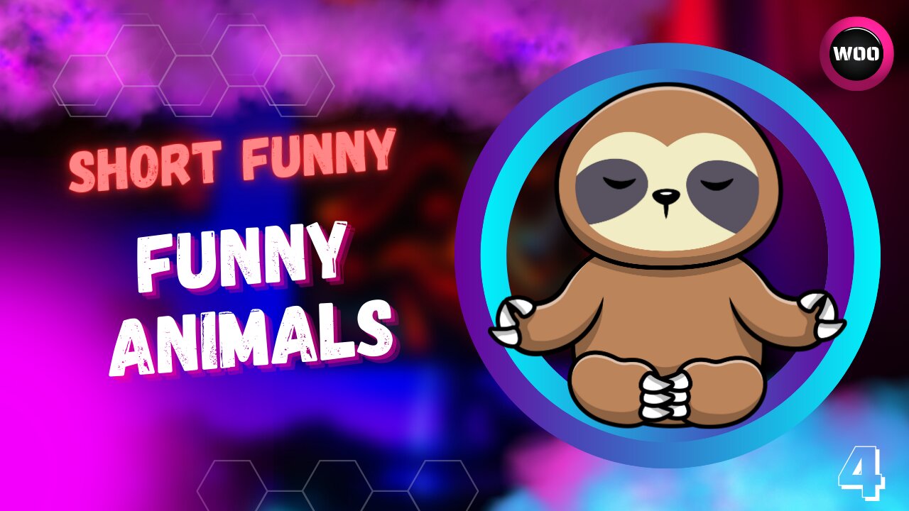 Funny Animals