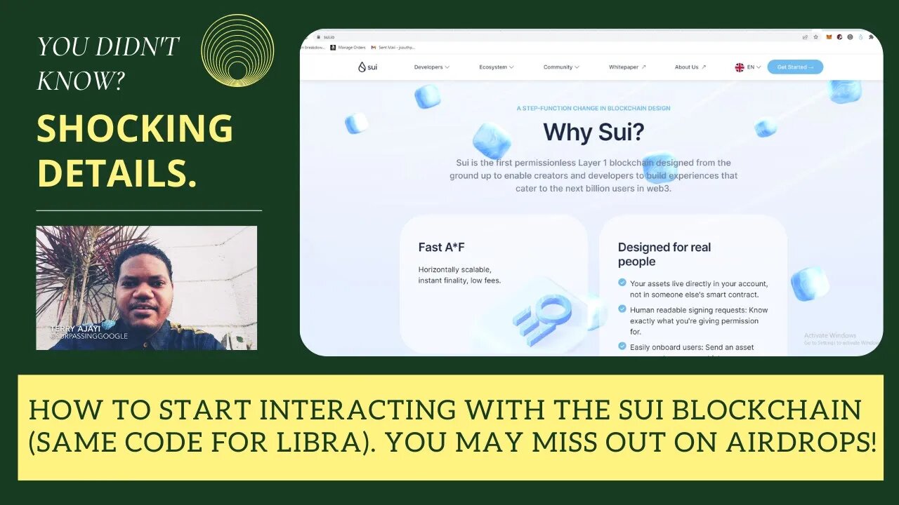 How To Start Interacting With The SUI Blockchain (Same Code For Libra). You May Miss Out On Airdrops