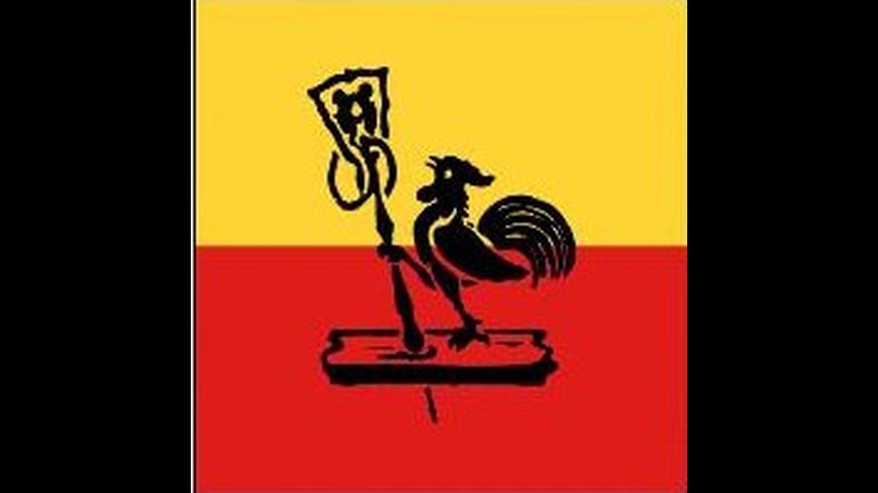 MLNR Movimento di Liberazione Nazionale di Popolo Romagnolo 1