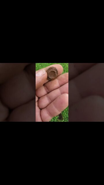 What is it?? #silver #shorts #coins #trending #buttons #metaldetecting #civilwar #jewellery