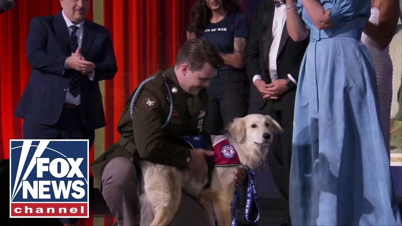 Veteran has surprise reunion with a special dog from overseas