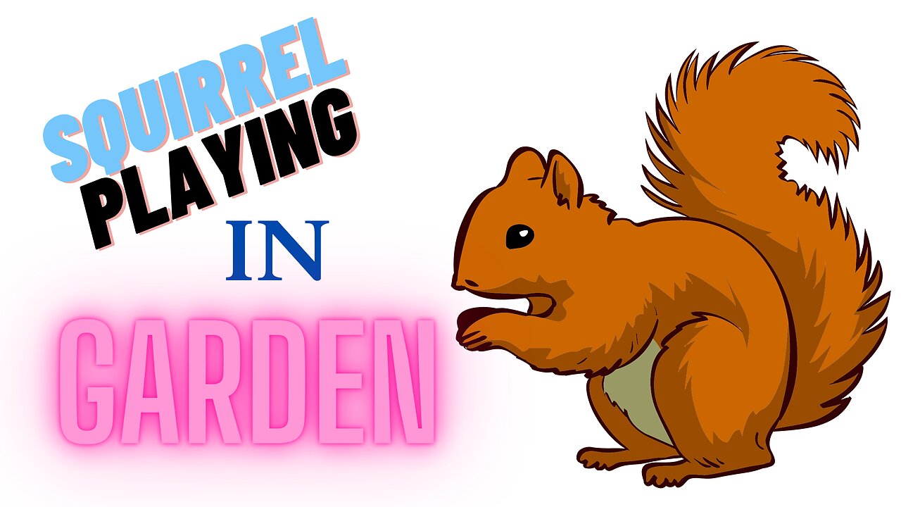 Squirrel playing in garden