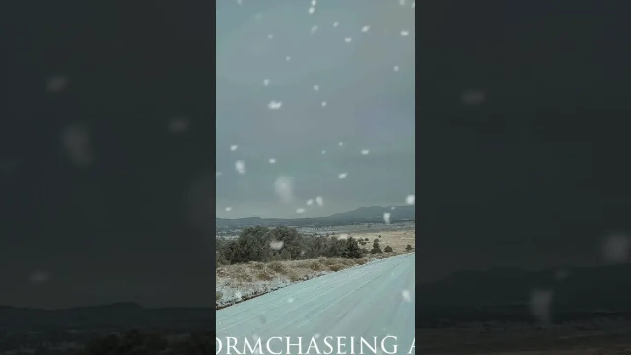 here's these photos. #snowfall 🧑‍🎄⛄☃️❄️🌨️ 🥶❄️ #loveseeing.snow