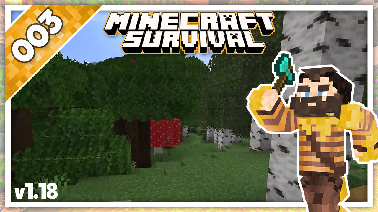 Let's play Minecraft | Longplay Survival | Ep.003 | (No Commentary) 1.18