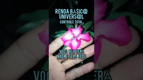 SEU $ALÁRIO SERÁ CONTROLADO PELA A RENDA BÁ§ICA UNIV€RSAL