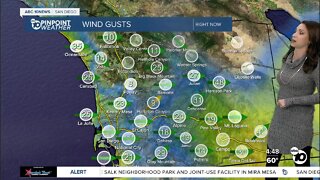 ABC 10News Pinpoint Weather with Meteorologist Megan Parry