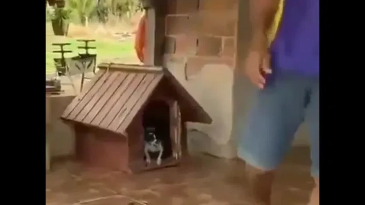 “Leave me alone” 😂