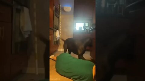 I am tired of this shit 🤡😂😂😂