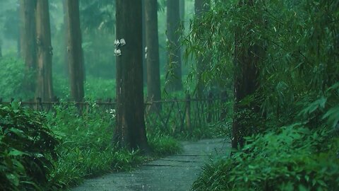Calm rain to relax