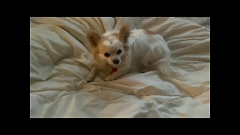 I have to leave Friday soon !