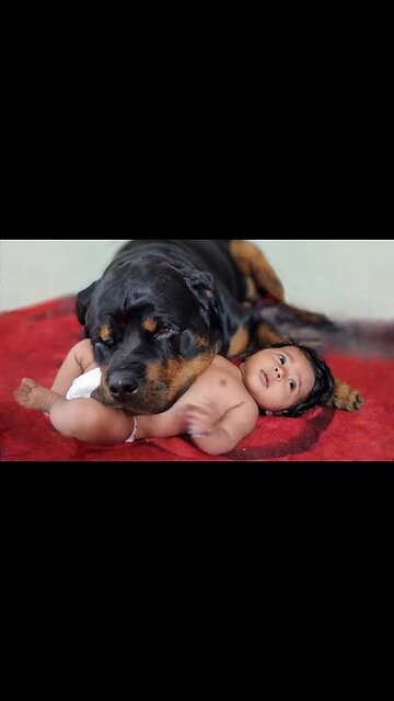 baby and dog 🎥