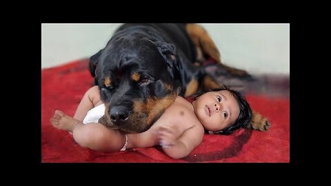 baby and dog 🎥
