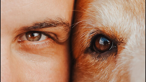 He found a best friend for his dog