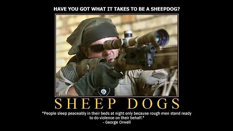 Have You Got What it Takes to be a Sheepdog?