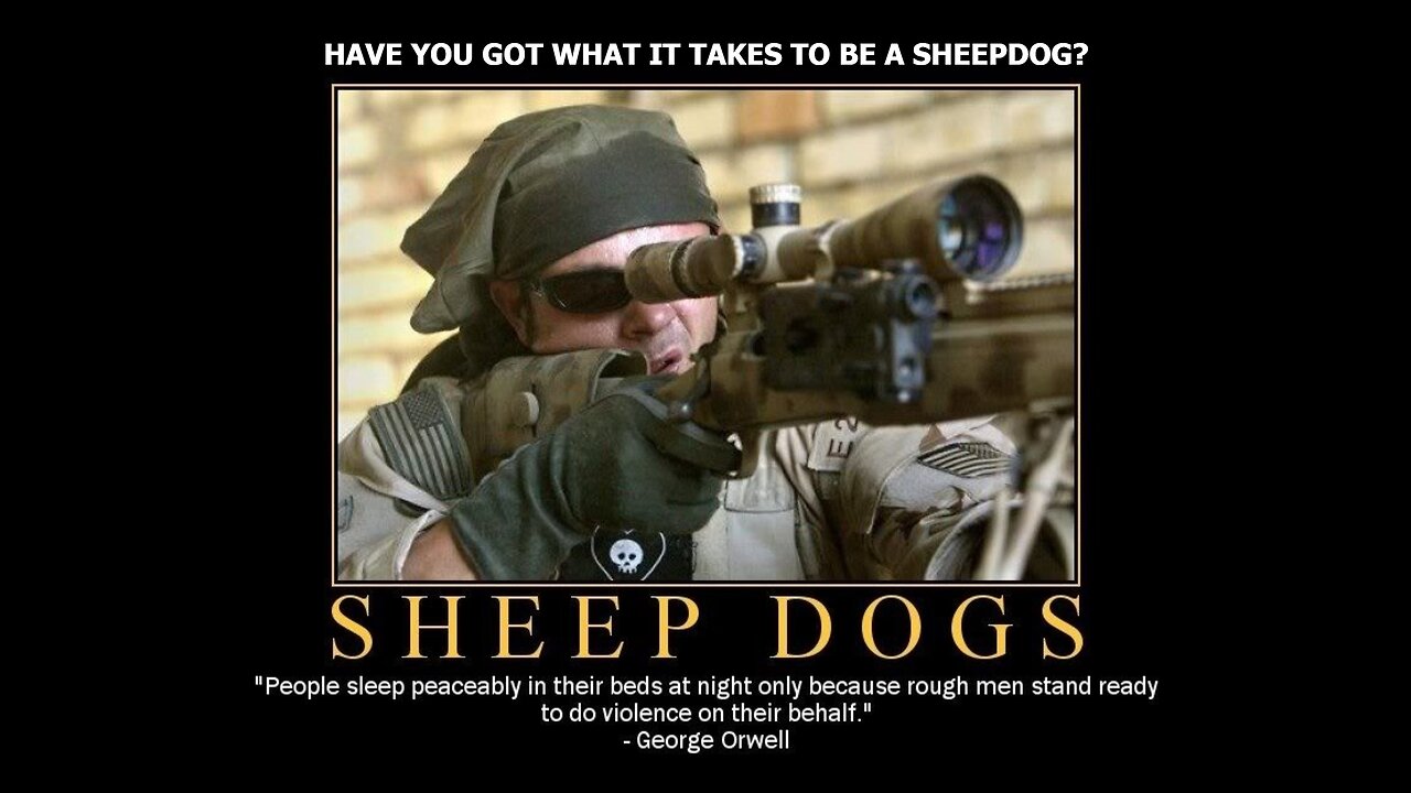 Have You Got What it Takes to be a Sheepdog?