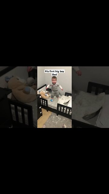 Do you think he’s excited? 😂 #shorts