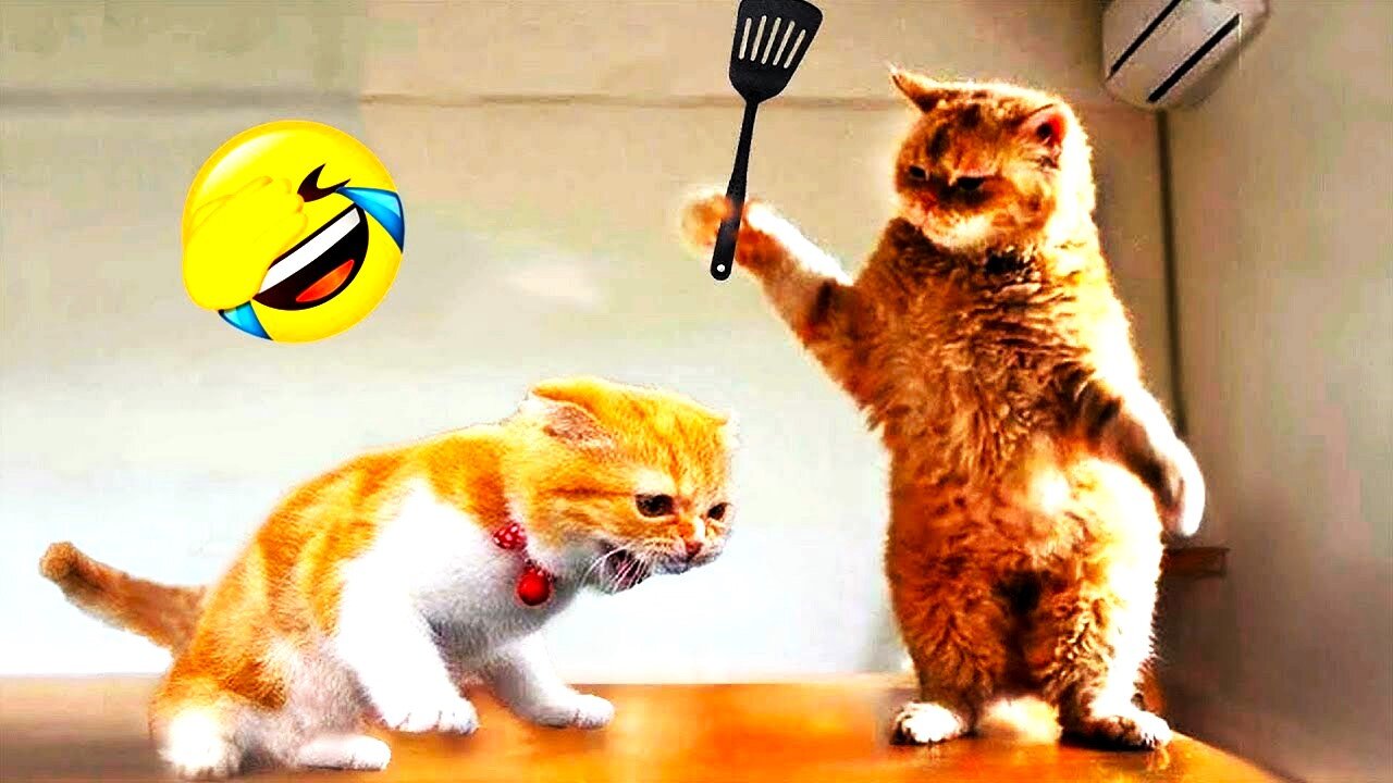 Funniest Animals 2023 😂 New Funny Cats and Dogs Videos 😻🐶 Part 1