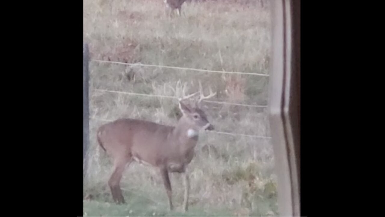 Jump over not under Rudolph.