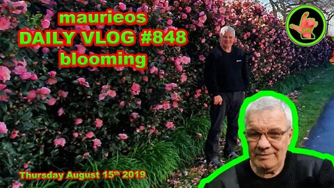 maurieos DAILY VLOG #848 blooming