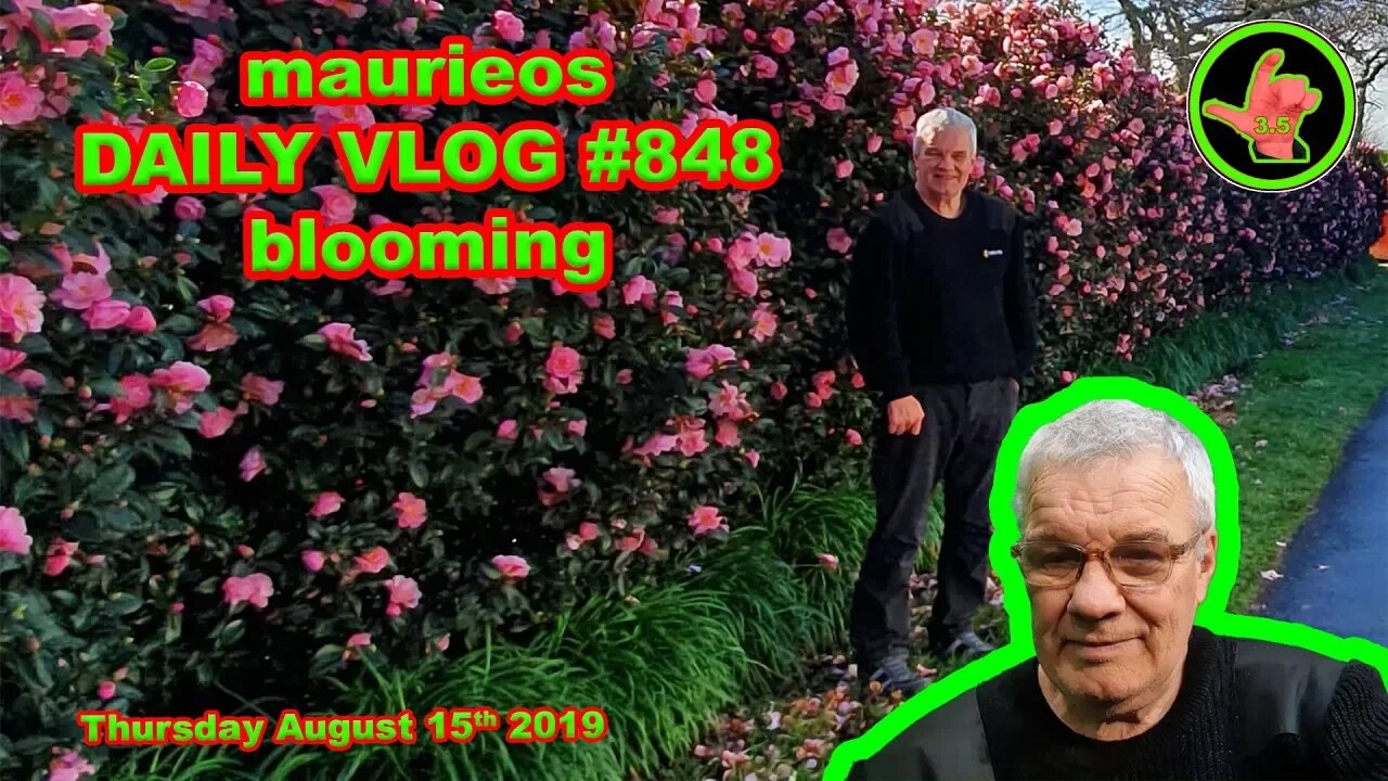 maurieos DAILY VLOG #848 blooming