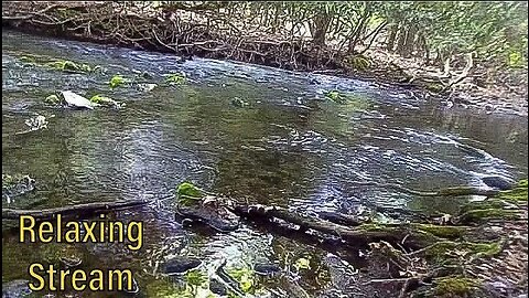 10 Minutes of a Relaxing Stream 🥰