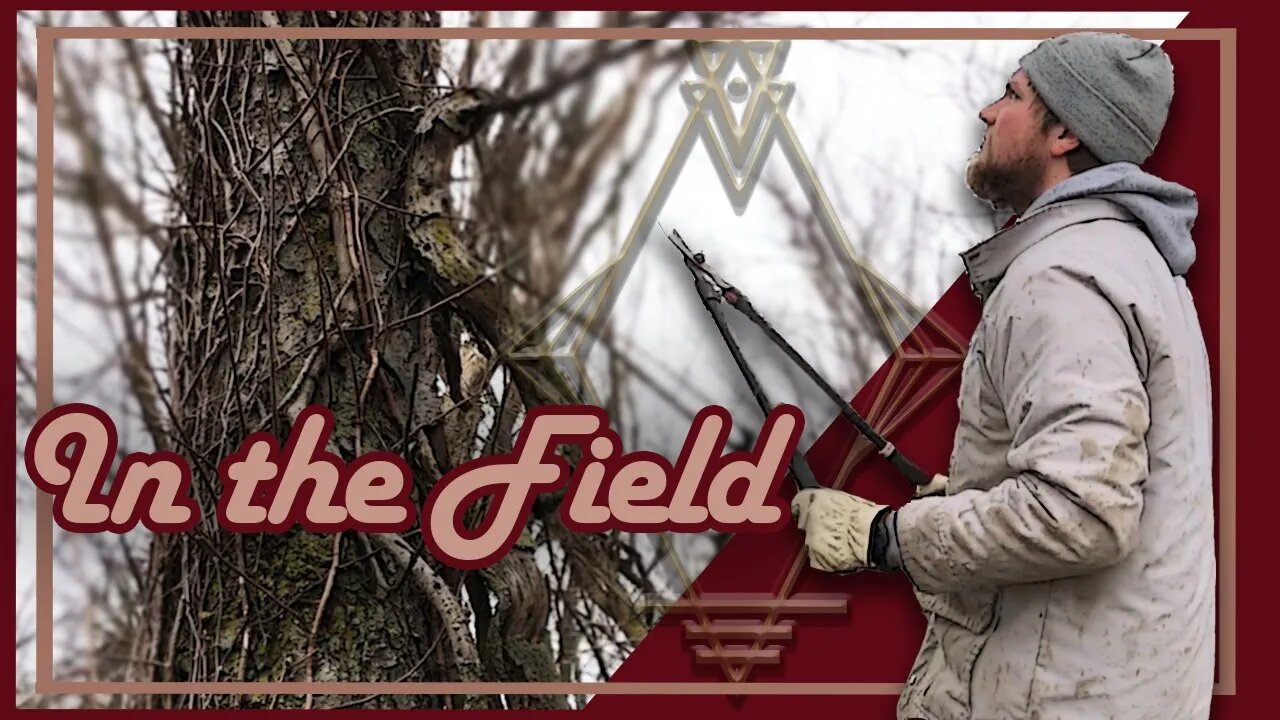 Scouting New Treestand Locations | In the Field